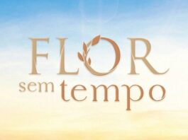logo - Flor Sem Tempo